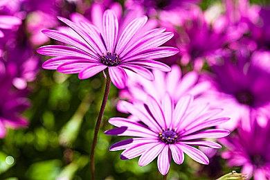 《黑神话：悟空》PS5国行版正积极筹备中